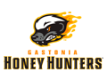 Gastonia Honey Hunters
