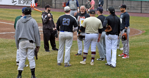 OPEN PLAYER TRYOUT AT BETHPAGE BALLPARK POSTPONED