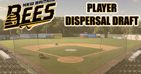 ATLANTIC LEAGUE COMPLETES BEES PLAYER DISPERSAL DRAFT