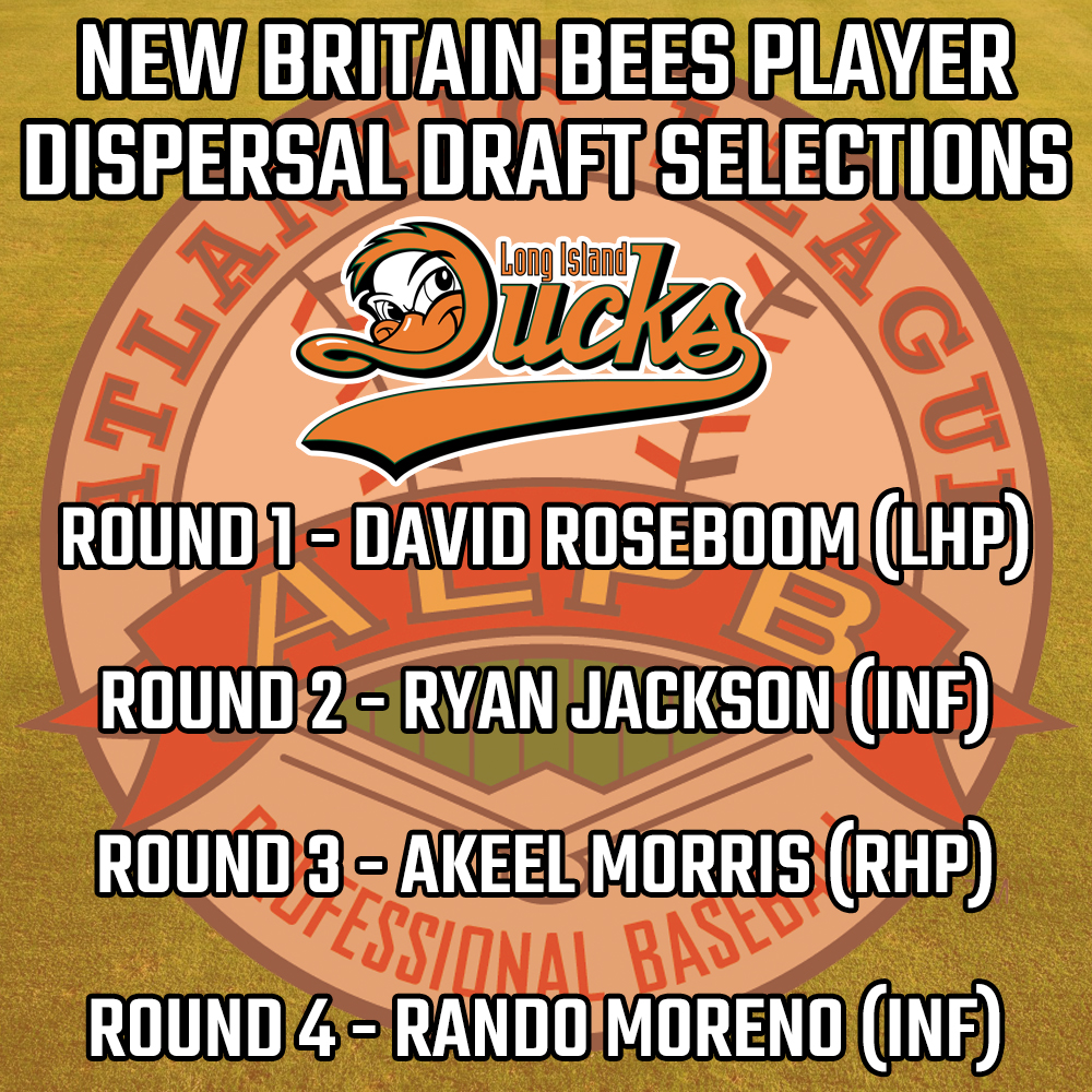 Bees-Player-Dispersal-Draft-Picks-Ducks.jpg