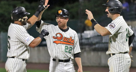 DUCKS BREAK OUT BATS TO SHUT DOWN POWER