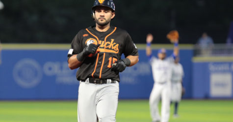 BATS COME ALIVE AS DUCKS SLAY SKEETERS