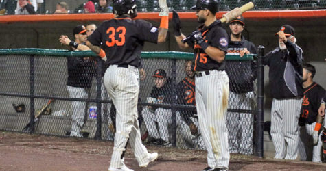 HECTOR’S HOMER LIFTS DUCKS TO TWIN BILL SPLIT