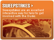 Sweepstakes Sponsorship Opportunities with the Long Island Ducks