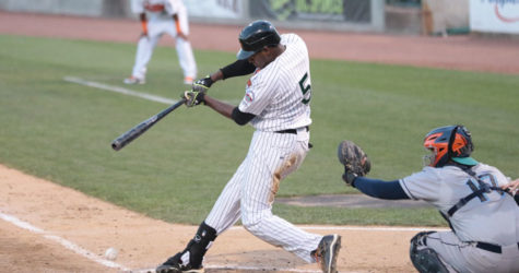 BLUEFISH POWER PAST DUCKS IN SERIES OPENER