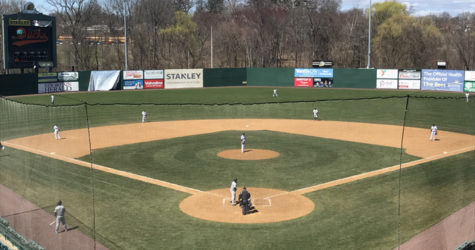 DUCKS EDGED BY BEES IN SPRING TRAINING OPENER