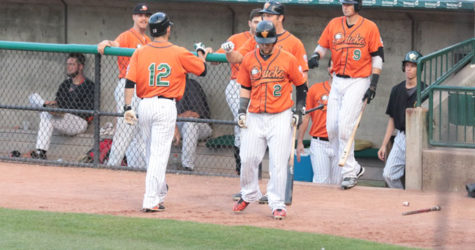 BATS EXPLODE IN SERIES FINALE AGAINST CAMDEN