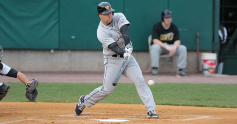 DUCKS STUNG BY BEES IN EXTRA INNINGS