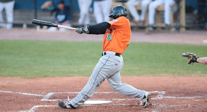 Bridgeport Bluefish: fun for the whole family