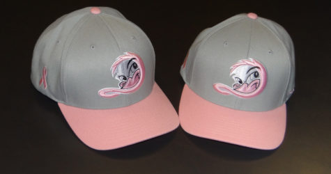 OCTOBER IS BREAST CANCER AWARENESS MONTH – PUT ON A PINK CAP AND DONATE