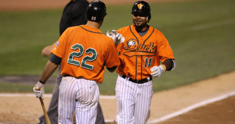 DUCKS DOMINANT IN ROUT OF BLUEFISH