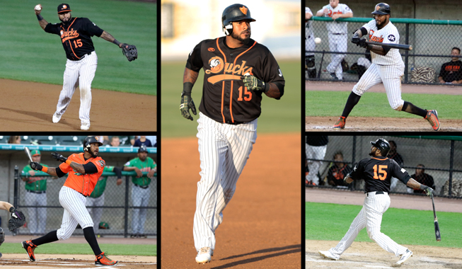 Congrats to our Player of the Month - Long Island Ducks