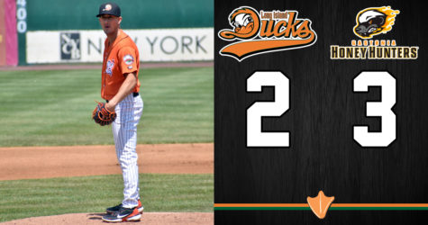 DUCKS FORCE EXTRAS BUT EDGED BY HONEY HUNTERS