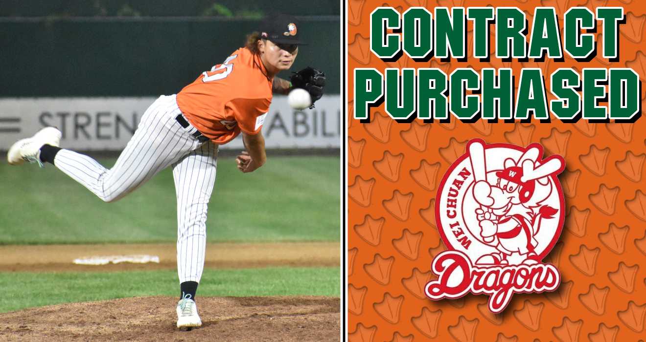 Long Island Ducks Baseball - Affordable Family Fun on Long Island
