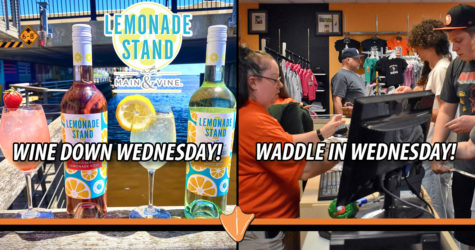 GAME TONIGHT: WINE DOWN & WADDLE IN WEDNESDAY!