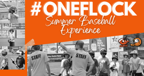 #ONEFLOCK SUMMER CAMP SESSIONS ANNOUNCED