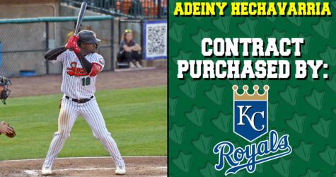 ADEINY HECHAVARRIA’S CONTRACT PURCHASED BY KANSAS CITY ROYALS