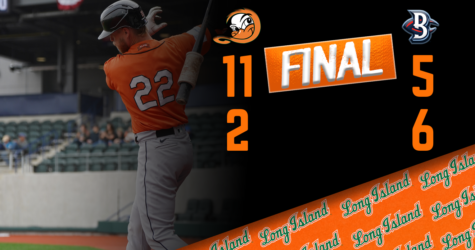 DUCKS AND BLUE CRABS SPLIT A PAIR IN WALDORF
