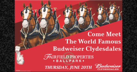 WORLD-FAMOUS BUDWEISER CLYDESDALES TO VISIT BALLPARK JUNE 20TH