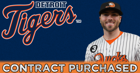 MATT SEELINGER’S CONTRACT PURCHASED BY DETROIT TIGERS