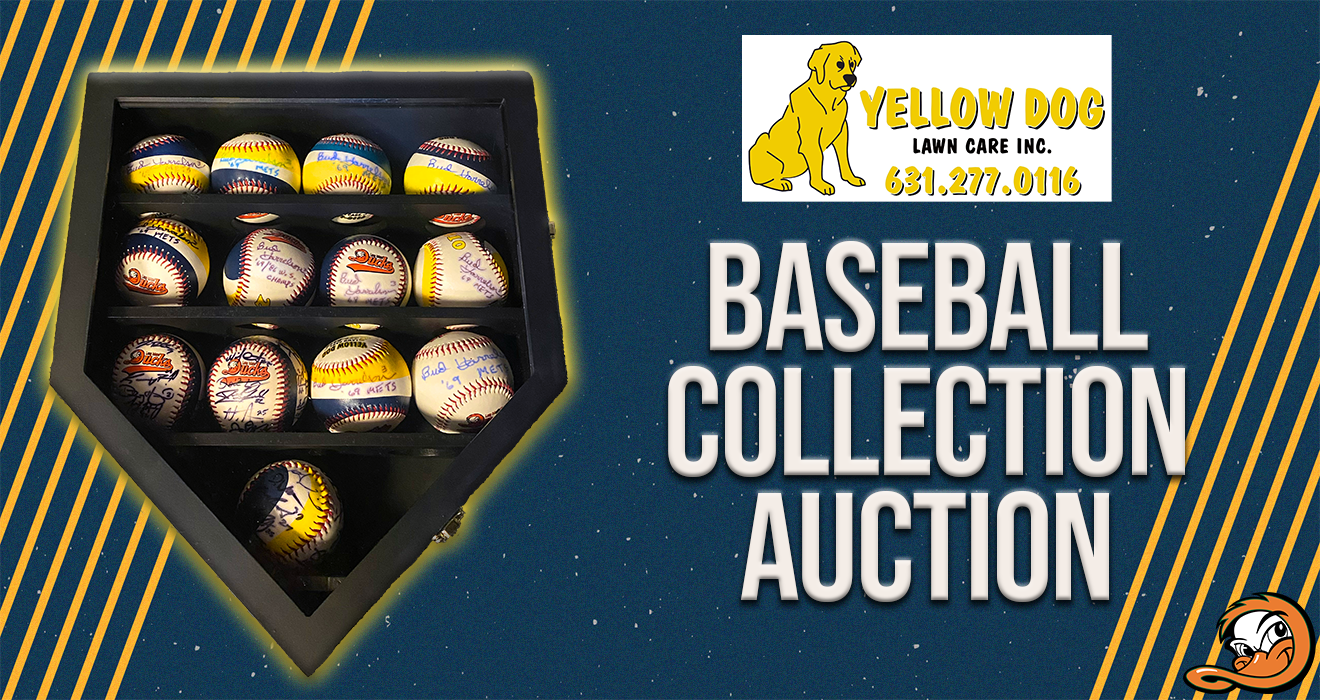 RARE AUTOGRAPHED BASEBALL COLLECTION UP FOR AUCTION