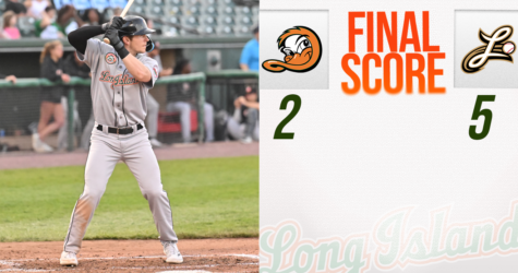 DUCKS UNABLE TO WEATHER STORM IN LANCASTER