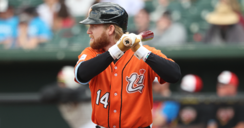 LONG ISLAND STYMIED BY YORK IN SERIES FINALE