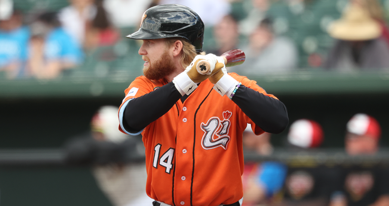 LONG ISLAND STYMIED BY YORK IN SERIES FINALE