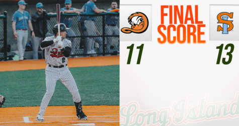 FERRYHAWKS EDGE DUCKS IN SLUGFEST