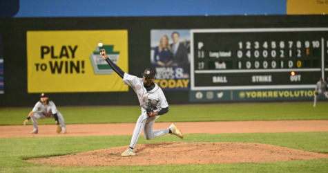 DIRTY BIRDS WALK IT OFF ON DUCKS IN EXTRA FRAMES