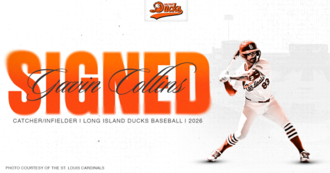 DUCKS SIGN CATCHER/INFIELDER GAVIN COLLINS