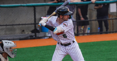 DUCKS DOWN DOGECOIN IN EXHIBITION ACTION