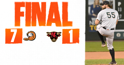 BATS STAY HOT AS DUCKS STYMIE STORMERS