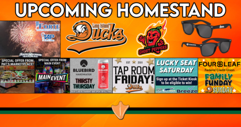 DUCKS RETURN HOME MAY 12TH – 16TH