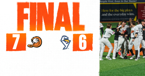DUCKS WADDLE OFF IN EXTRAS TO TAKE SERIES