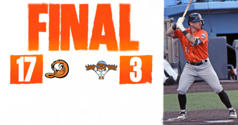 DUCKS GROUND FERRYHAWKS WITH BIG DAY FROM THE BATS