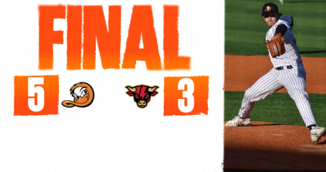 POWER AND PITCHING PROPEL DUCKS OVER STORMERS