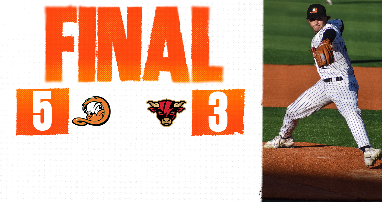 POWER AND PITCHING PROPEL DUCKS OVER STORMERS