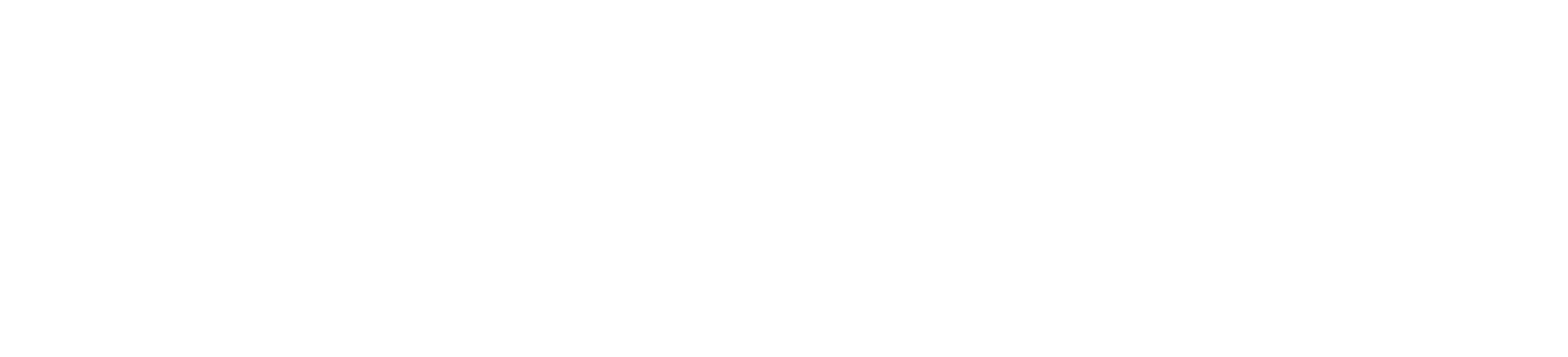 HTN Logo